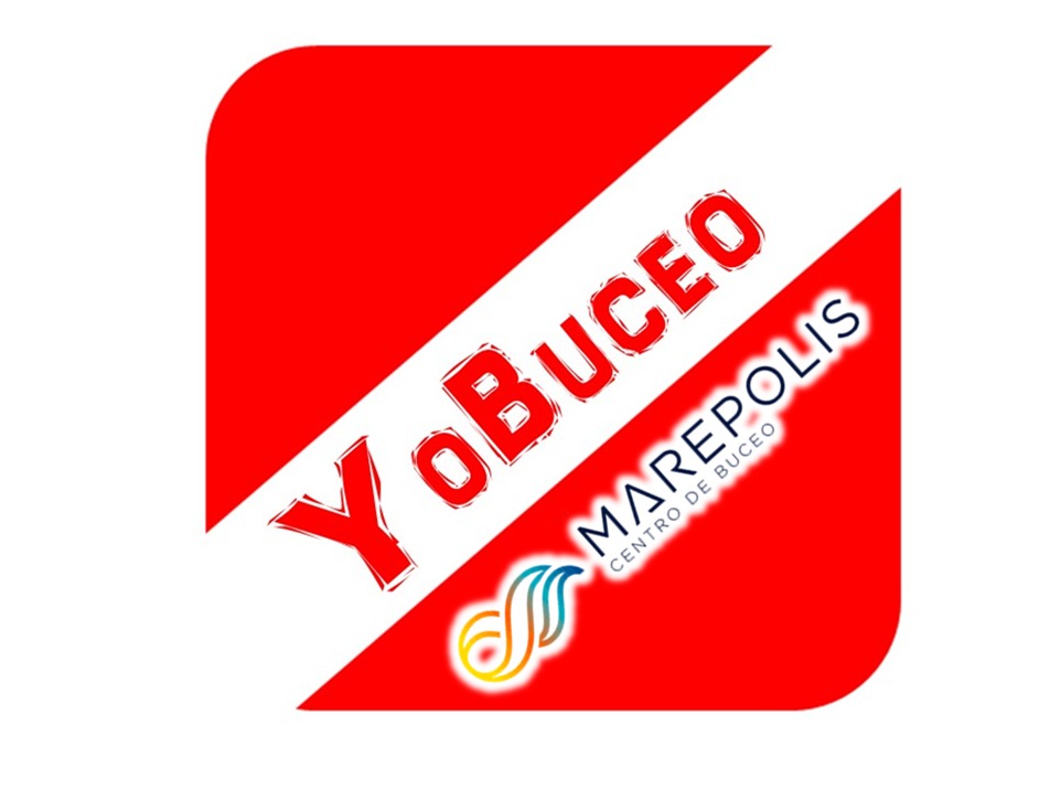 Alquiler Máscara